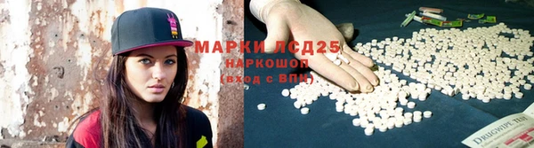 индика Нея