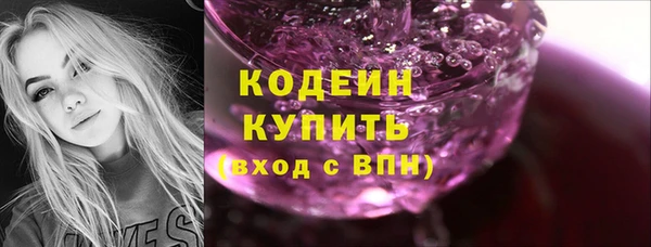 индика Нея