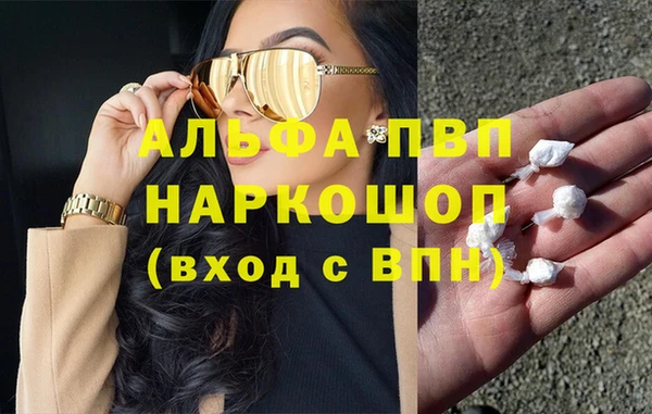 индика Нефтегорск