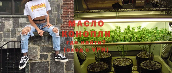 индика Нея