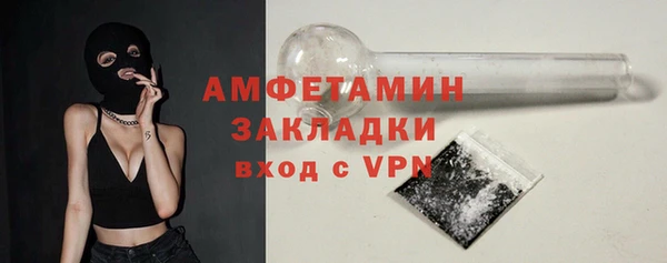 индика Нея