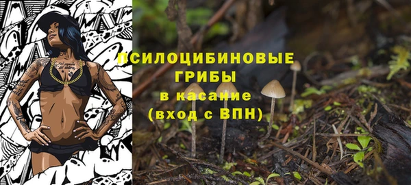 индика Нефтегорск