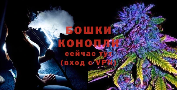 индика Нефтегорск