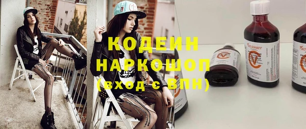 индика Нея