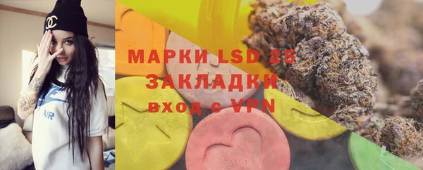 индика Нея