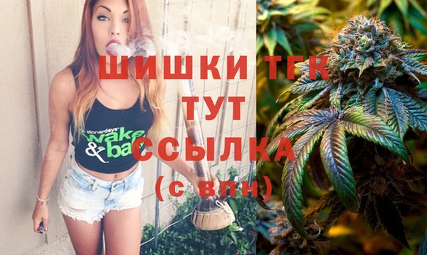 индика Нея