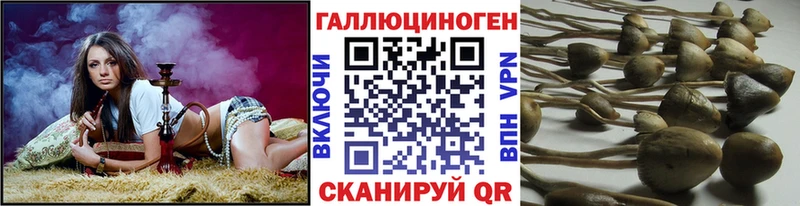 Галлюциногенные грибы MAGIC MUSHROOMS  OMG онион  Орёл 